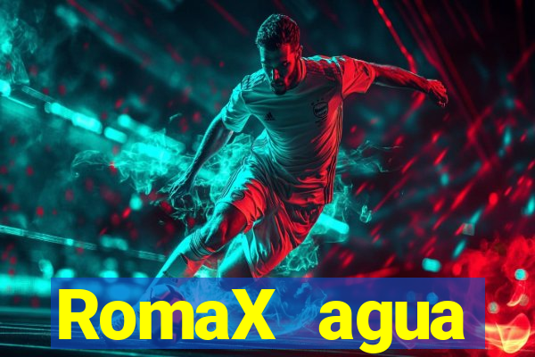 RomaX agua sanitaria fispq agua sanitaria romax